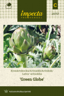 Artiskok 'Green Globe'