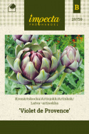 Artiskok 'Violet de Provence'