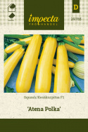 Squash F1 'Atena Polka'