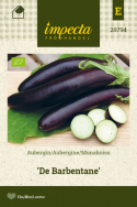 Aubergine 'De Barbentane'