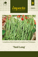 Langbønne 'Yard Long'