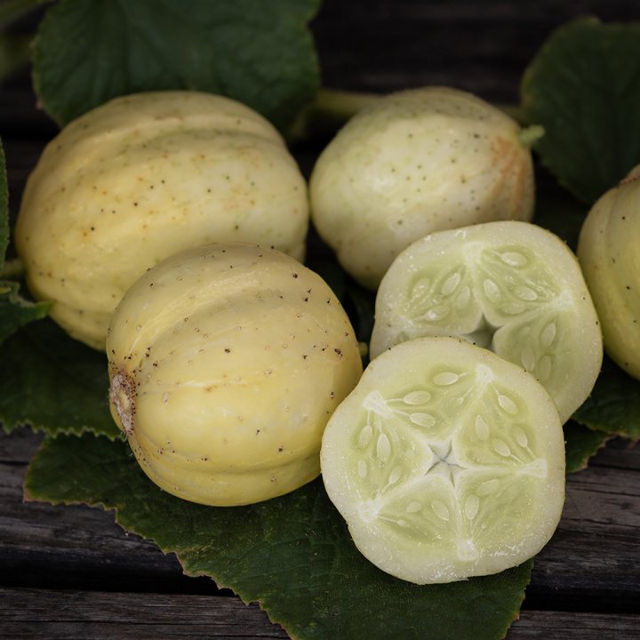 Agurk 'Lemon'