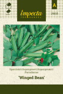 Aspargesært 'Winged Bean'