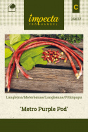 Lang bønne 'Metro Purple Pod'
