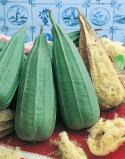 Luffa