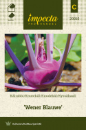 Knudekål 'Wener Blauwe'