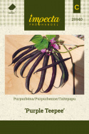 Purpurbønne 'Purple tipi'