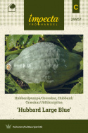 Græskar 'Hubbard Large Blue'