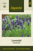 Lavendel 'Lovely Sky'