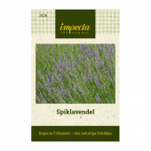 Bredbladet Lavendel