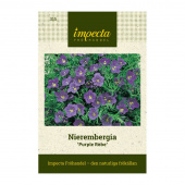 Nierembergia 'Purple Robe'