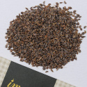 Bladpersille 'Fest', Bladpersille med mellemstore, glatte, grønne blade med meget smag og aroma.