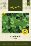 Koriander 'Atlas', Bladkoriander. Frodigt mørkegrønne, fintfligede blade med aromatisk smag. 