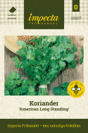 Koriander 'American Long Standing', Opret voksende koriander med fint fligede, aromatiske blade.
