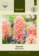 Hyacint 'Gipsy Queen' 5 stk. Kraftige, tætte blomsterspir i lys abrikos og lakserosa med en vidunderlig duft.