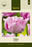 Tulipan 'Katinka'7 stk En dejlig, fyldt tulipan med store blomster i kølige toner af syren og gammelrosa. 