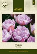 Tulipan 'Katinka'7 stk En dejlig, fyldt tulipan med store blomster i kølige toner af syren og gammelrosa. 