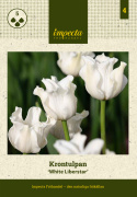 Havetulipan 'White Liberstar' 5 stk. Passer perfekt ind i blomsterbedet men er også god i krukker på altan og terrasse.
