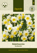 Toblomstret narcis 'Avalanche'  5 stk. Rigt blomstrende narcis som får duftende, cremehvide blomster med en lille, solgul trompet.