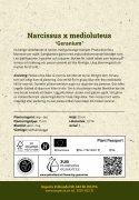 Toblomstret narcis 'Geranium'  5 stk. En herligt velduftende hvid narcis med gulorange trompet. 