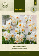 Toblomstret narcis 'Sir Winston Churchill'  5 stk. En fantastisk velduftende narcis med tæt fyldte, snehvide blomster med orange midte.