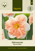 Stjernenarcis  'Apricot Whirl', store, hvide, dejlige blomster med imponerende, kruset midterkrone i abrikos.