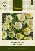 Krinolinenarcis  'White Petticoat'  5 stk. Smuk i blandede beplantninger med perlehyacint og andre forårsblomstrende løgplanter. 