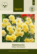 Toblomstret narcis 'Yellow Cheerfulness'  5 stk. En meget velduftende, tæt fyldt narcis i lyse, citrongule nuancer.
