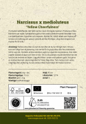 Toblomstret narcis 'Yellow Cheerfulness'  5 stk. En meget velduftende, tæt fyldt narcis i lyse, citrongule nuancer.
