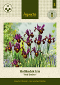 Hollandsk Iris 'Red Ember' 10 stk