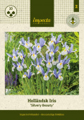 Hollandsk Iris 'Silvery Beauty' 10 stk.