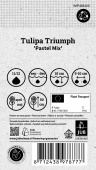 Triumph-tulipan 'Pastel Mix' 40 stk