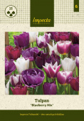 Tulipan 'Blueberry Mix' 15 stk.