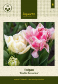 Tulipan 'Double Sensation' 15 stk.