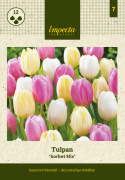 Tulipan 'Sorbet Mix' 15 stk. En sommerlig blanding af enkle tulipaner i bløde pastelnuancer som jordbærrød, syrenhvid og citrongul.