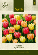 Tulipan 'Symbiose Mix' 15 stk. En glødende blanding af fyldte tulipaner i varme nuancer som hindbærrød, terrakotta og solgul.