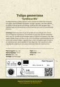 Tulipan 'Symbiose Mix' 15 stk. En glødende blanding af fyldte tulipaner i varme nuancer som hindbærrød, terrakotta og solgul.