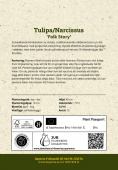 Tulipan/Orkidénarcisse 'Folk Story' 15 stk.