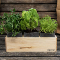 Plantekasse træ 3 rum, Lad kokosjorden opsuge alt vandet og løsn den, herefter er jorden klar til at så eller plante i.