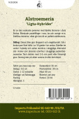Alstroemeria 'Ligtu Hybrider'