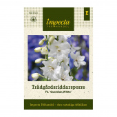Have Ridderspore F1 'Guardian White'