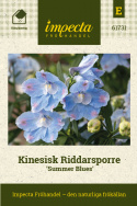 Kinesisk ridderspore 'Summer Blues', Masser af store, himmelblå, enkelte blomster samlet i toppe over løvet.