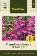 Fingerbøl F1 'Bubbly Pink', Fortryllende smukke, store, purpurrosa klokkeblomster på tætte spir med lang blomstringstid.