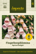 Fingerbøl 'Apricot Delight', Skønt indslag i det romantiske bed og i større blomsterarrangementer.