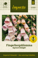 Fingerbøl 'Apricot Delight', Skønt indslag i det romantiske bed og i større blomsterarrangementer.