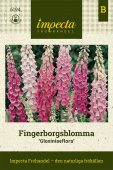 Fingerbølblomst 'Gloxiniaeflora'