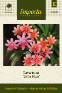 Lewisia 'Little Plum', stjerneformede blomster i nuancer af pink, koral og abrikos, alle med mørkere årer på bladene.