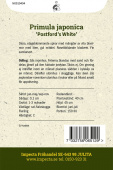 Etageprimula 'Postford's White'