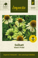 Purpursolhat 'Alan's Pride', Fascinerende limegrønne blomster i varierende nuancer.