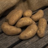Læggekartofler 'Amandine' 1 kg